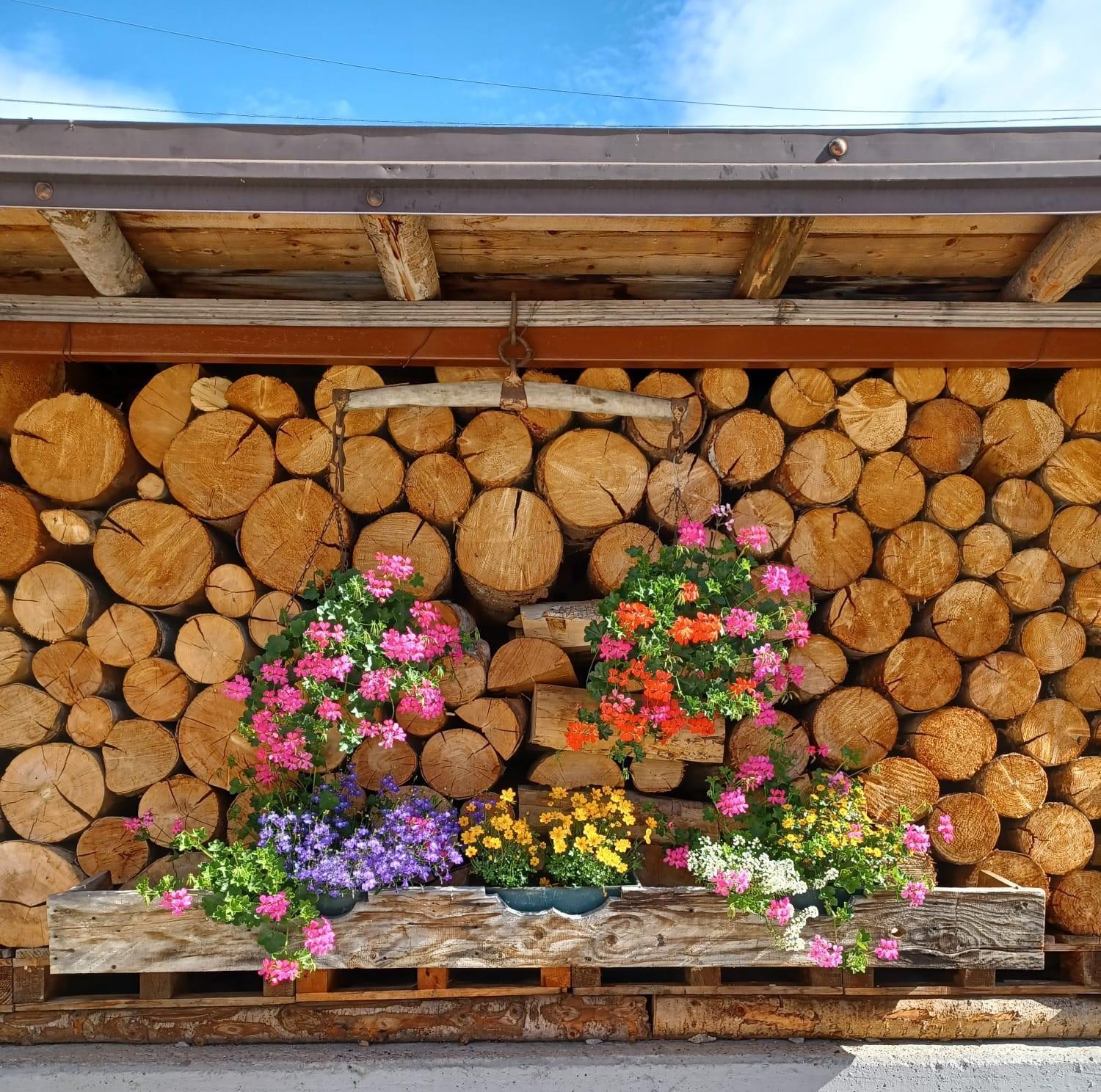 Locanda Da Pierina Santo Stefano Di Cadore Zewnętrze zdjęcie